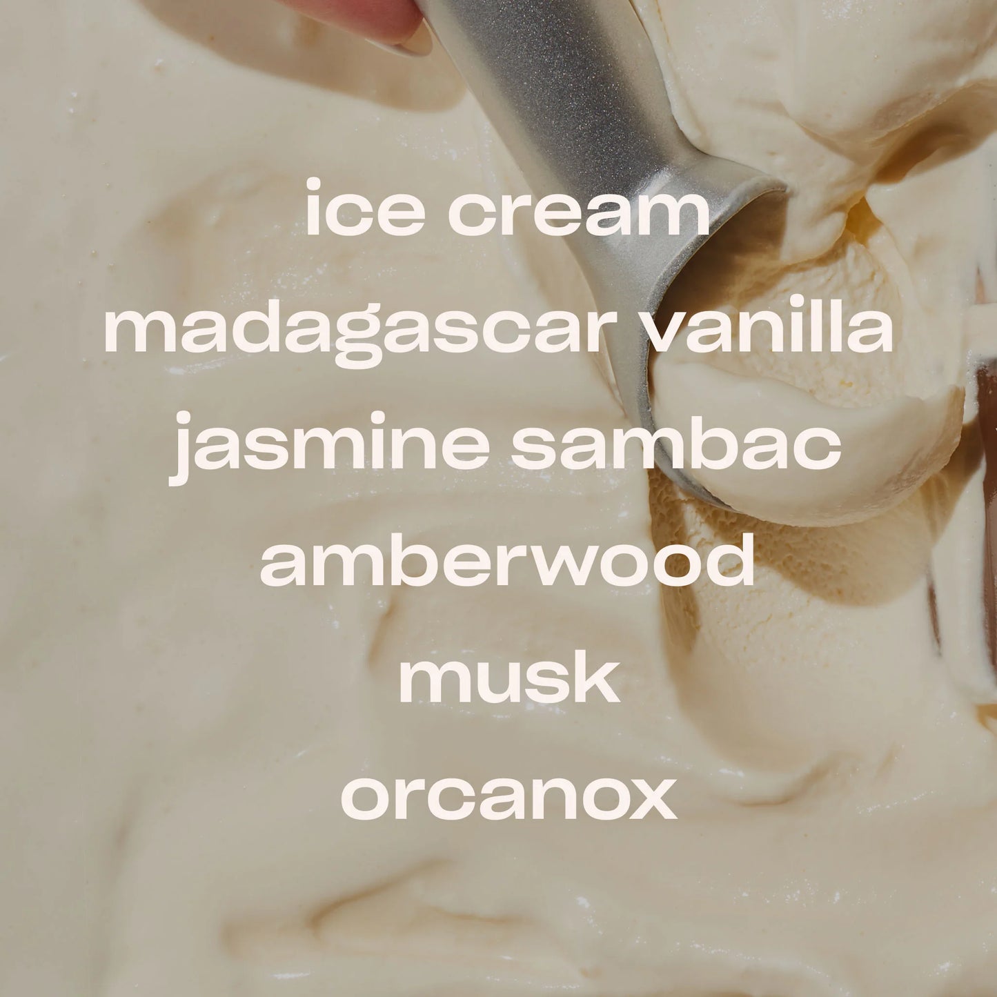 VANILLA VICE - 30 ML FRAGRANCE