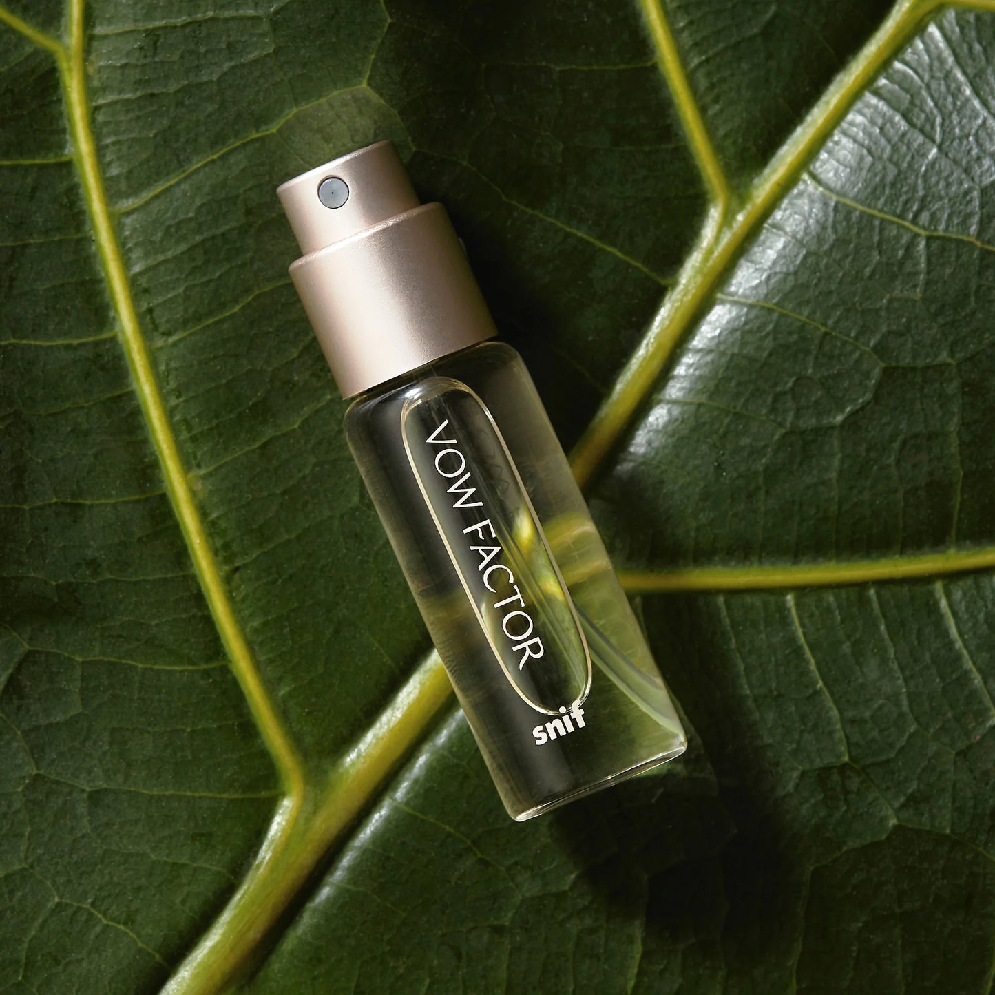 Professor Perfume Bundle