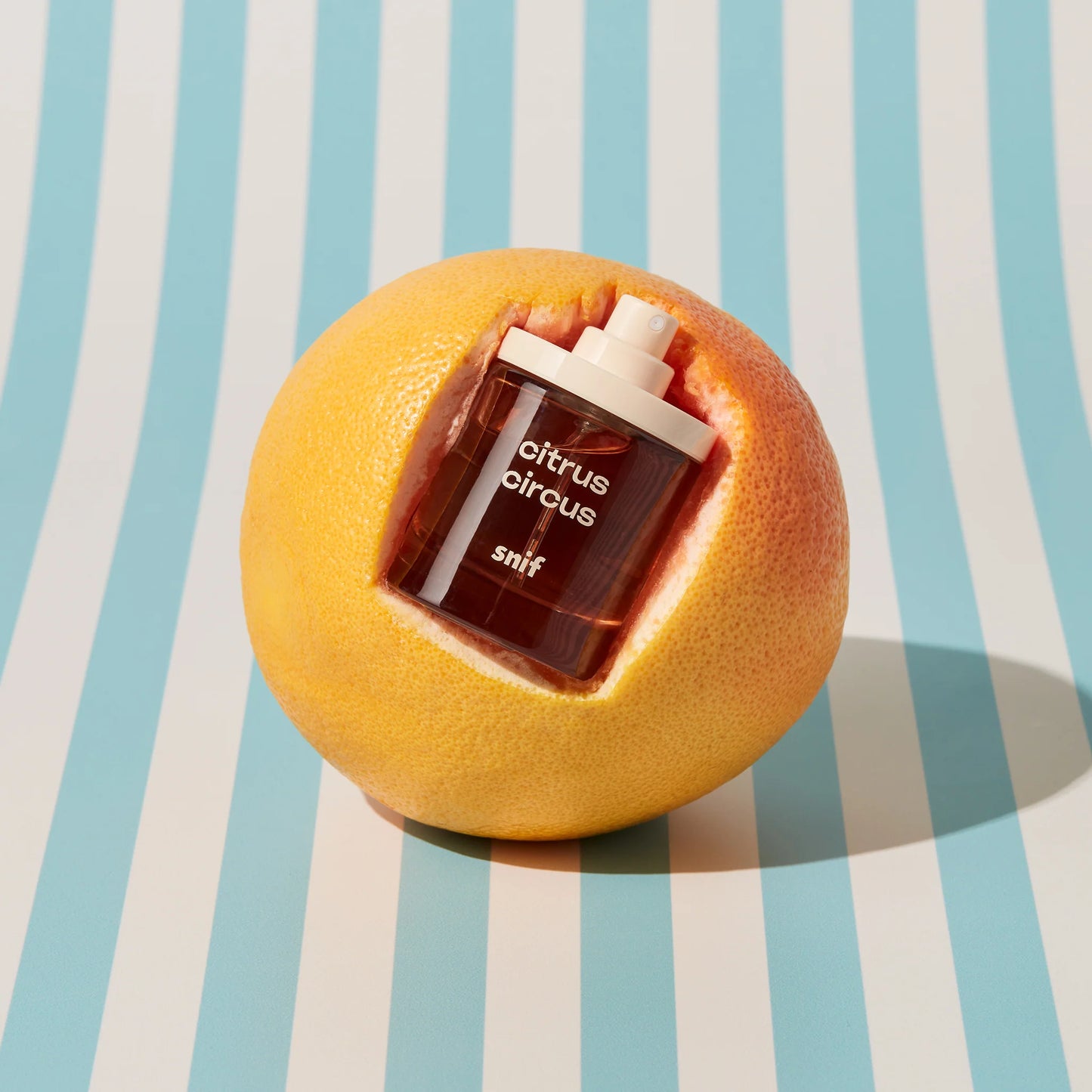 Citrus Circus