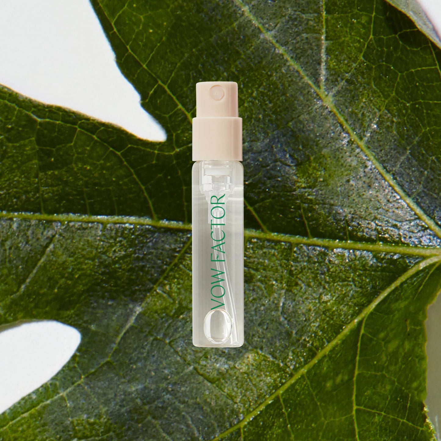 Vow Factor Sample