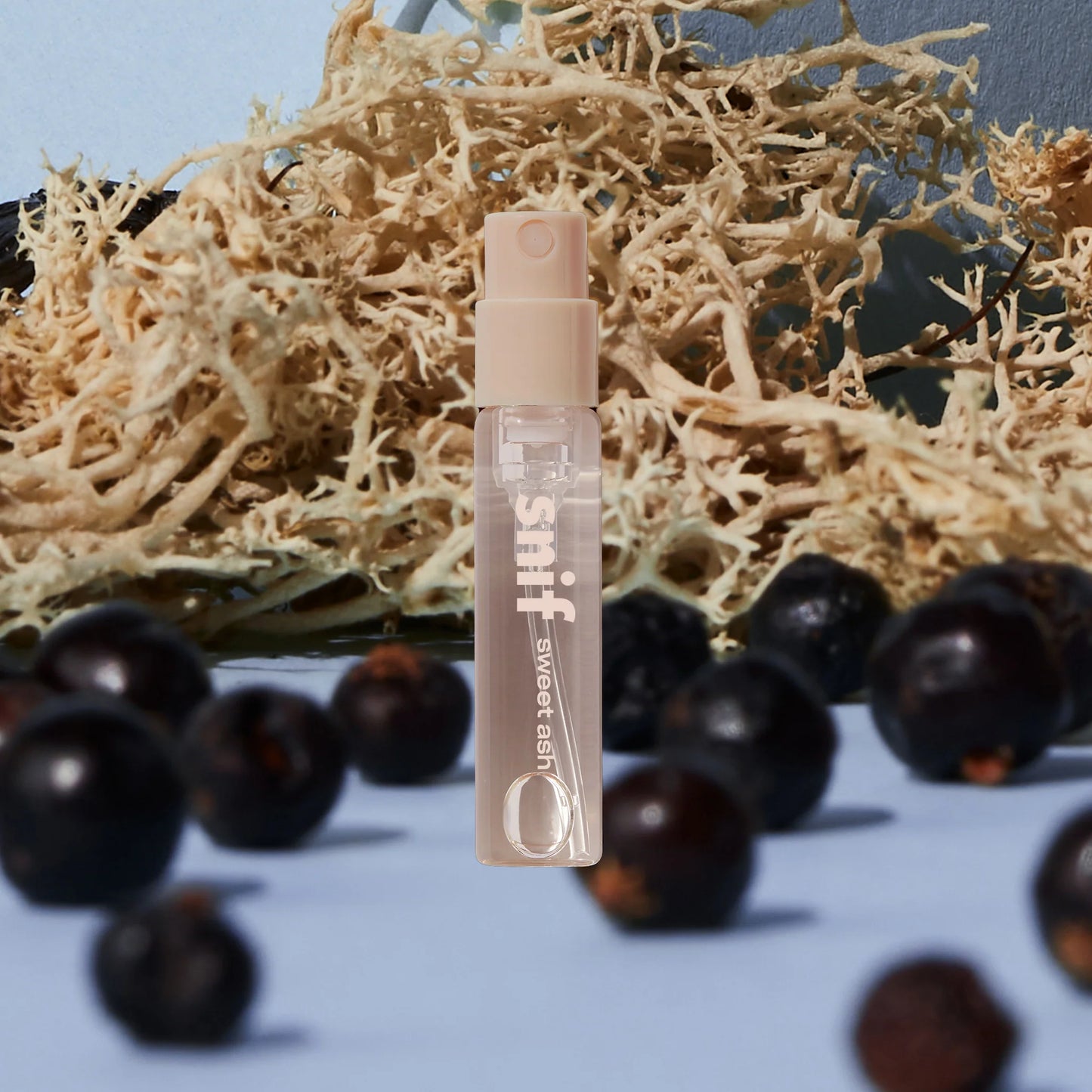 Sweet Ash Sample